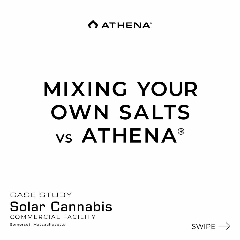 solar-cannabis-co-athena-ag-case-study-1