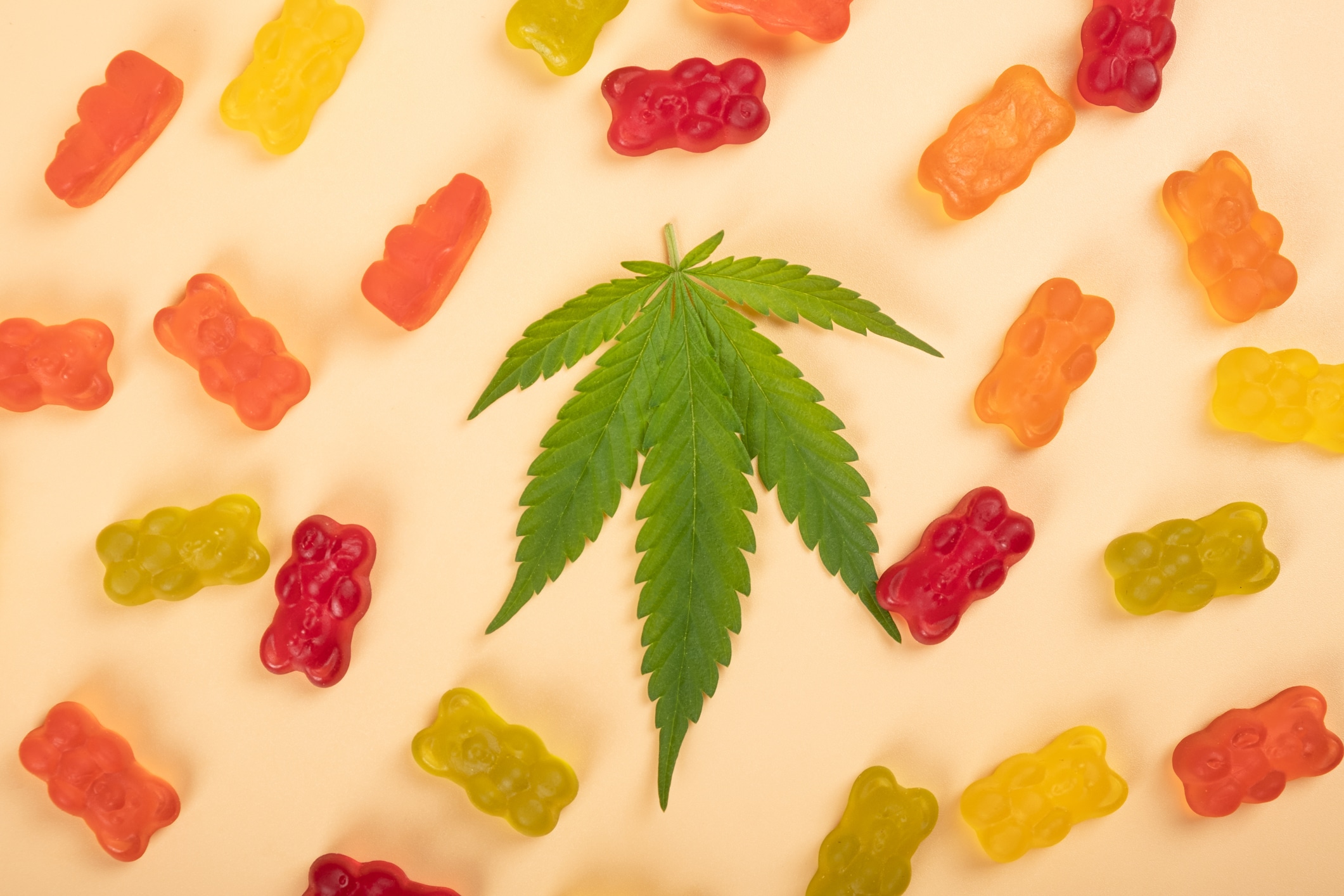 cannabis jelly candies, marijuana multicolored sweets drugs and green leaf on yellow background