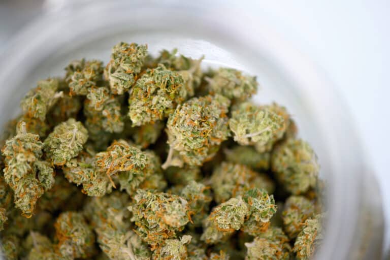 $99 Ounces of Cannabis in Massachusetts
